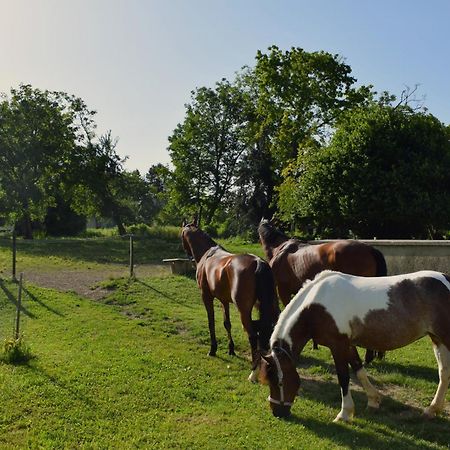 Farm Stay Zevnik Brezice Luaran gambar