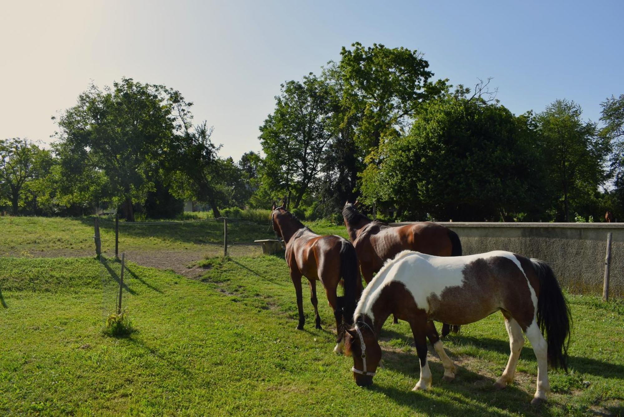 Farm Stay Zevnik Brezice Luaran gambar